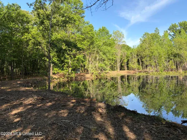 $995,000 | 186 Potluck Road, Canton, MS 39046