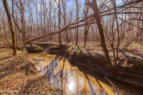 $1,025,750 | 186 Potluck Road, Canton, MS 39046