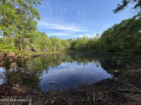 $995,000 | 186 Potluck Road, Canton, MS 39046