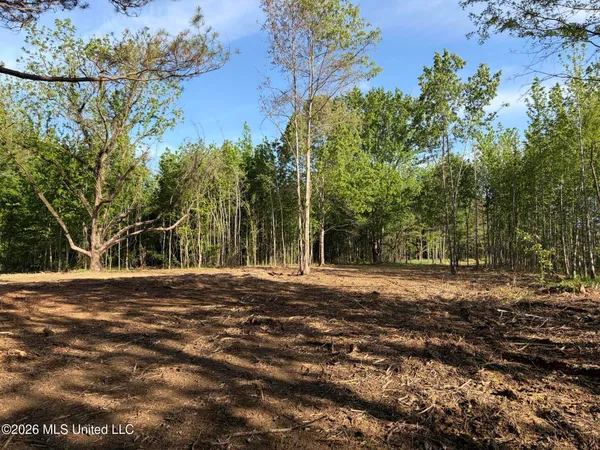 $995,000 | 186 Potluck Road, Canton, MS 39046