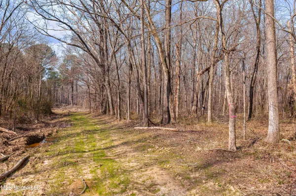 $1,025,750 | 186 Potluck Road, Canton, MS 39046