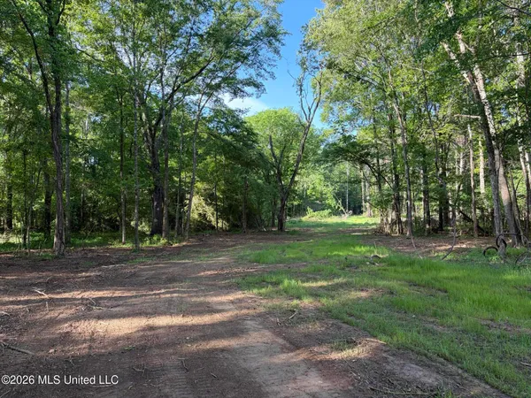 $995,000 | 186 Potluck Road, Canton, MS 39046