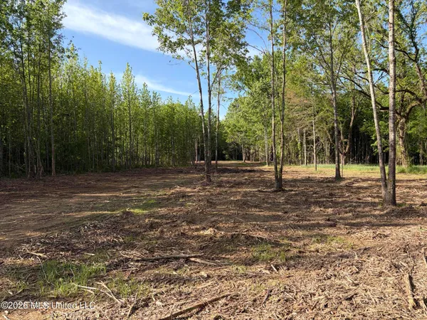 $995,000 | 186 Potluck Road, Canton, MS 39046