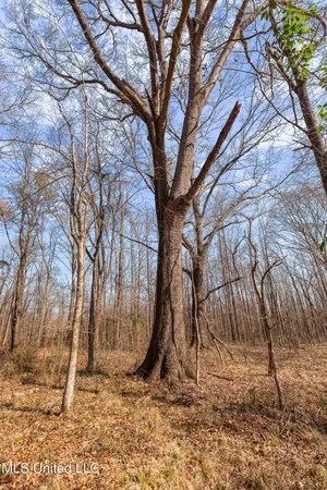 $1,025,750 | 186 Potluck Road, Canton, MS 39046