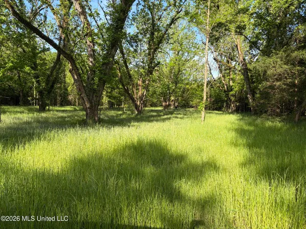 $995,000 | 186 Potluck Road, Canton, MS 39046