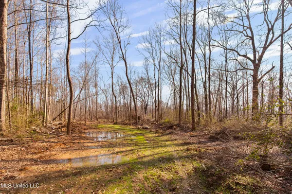 $1,025,750 | 186 Potluck Road, Canton, MS 39046