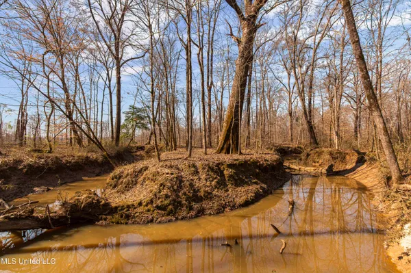 $1,025,750 | 186 Potluck Road, Canton, MS 39046
