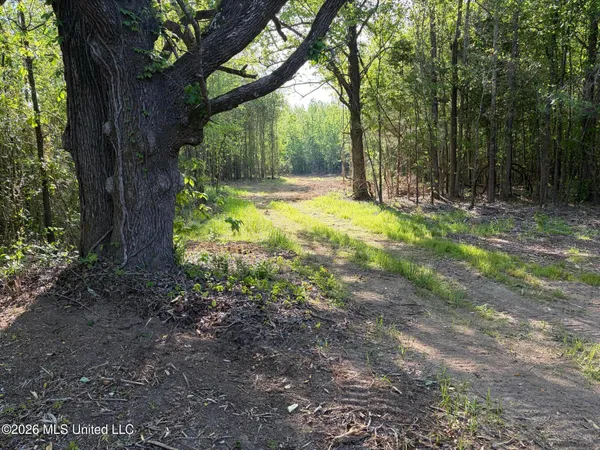 $995,000 | 186 Potluck Road, Canton, MS 39046