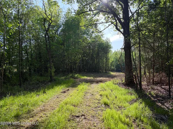 $995,000 | 186 Potluck Road, Canton, MS 39046