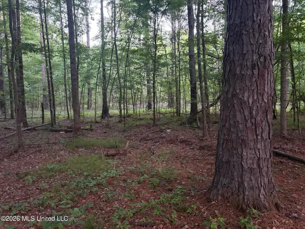 $995,000 | 186 Potluck Road, Canton, MS 39046