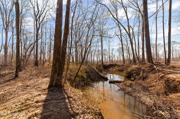 $1,025,750 | 186 Potluck Road, Canton, MS 39046