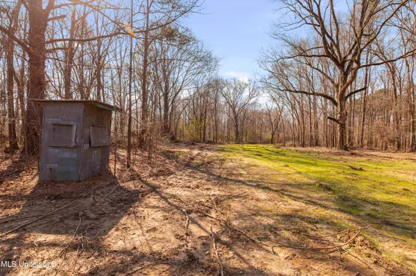 $995,000 | 186 Potluck Road, Canton, MS 39046
