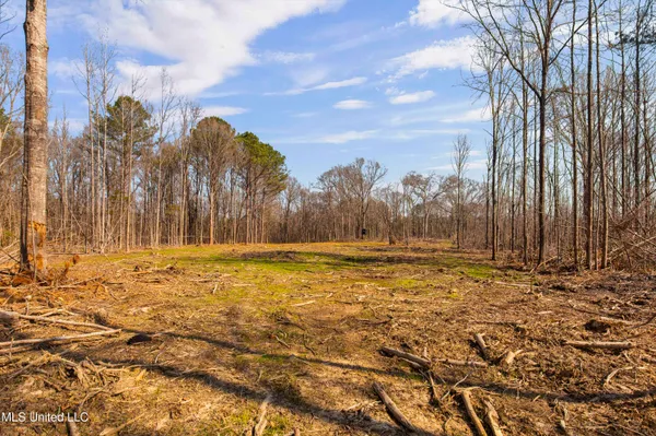 $1,025,750 | 186 Potluck Road, Canton, MS 39046