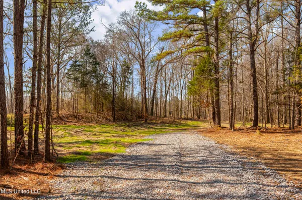 $995,000 | 186 Potluck Road, Canton, MS 39046