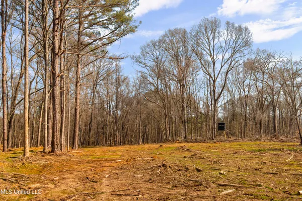 $1,025,750 | 186 Potluck Road, Canton, MS 39046