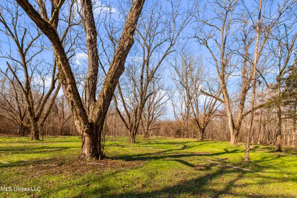 $995,000 | 186 Potluck Road, Canton, MS 39046