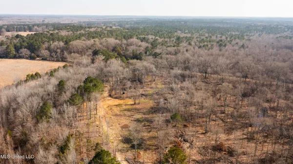 $995,000 | 186 Potluck Road, Canton, MS 39046