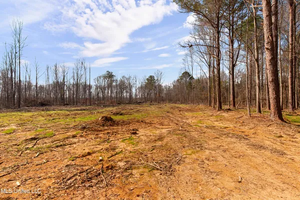 $1,025,750 | 186 Potluck Road, Canton, MS 39046