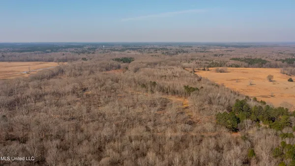 $1,025,750 | 186 Potluck Road, Canton, MS 39046