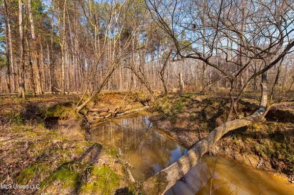 $995,000 | 186 Potluck Road, Canton, MS 39046