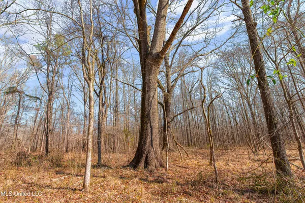 $995,000 | 186 Potluck Road, Canton, MS 39046