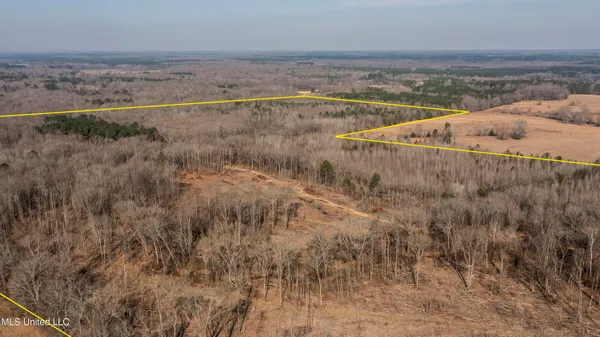 $1,025,750 | 186 Potluck Road, Canton, MS 39046