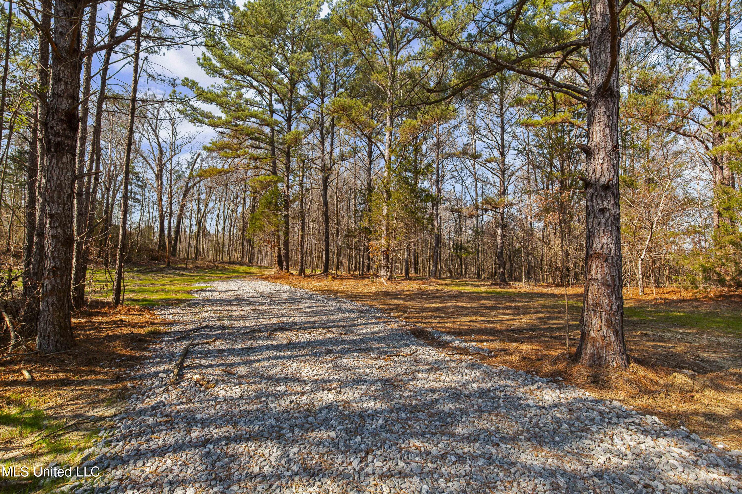 186 Potluck Road Canton, MS 39046 - Photo 5 of 69 PotluckRd-186 Acres-5