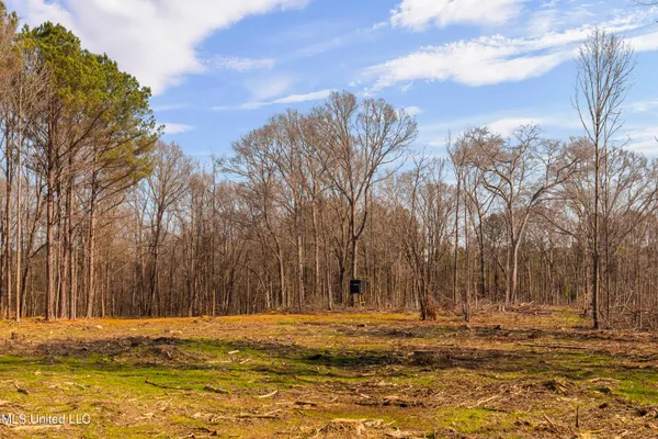 $995,000 | 186 Potluck Road, Canton, MS 39046