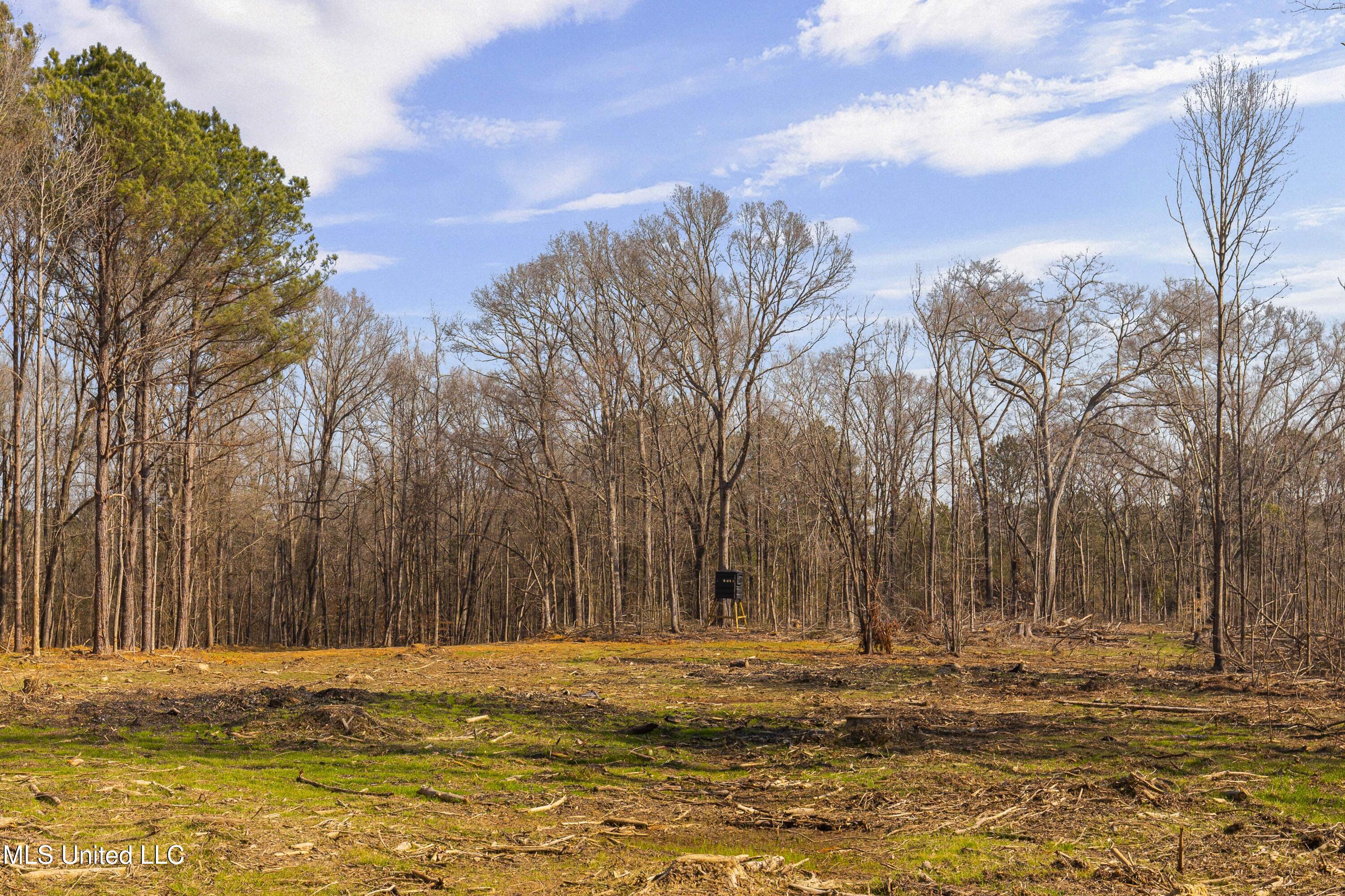 186 Potluck Road Canton, MS 39046 - Photo 51 of 69 PotluckRd-186 Acres-53