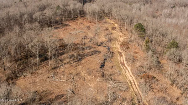 $1,025,750 | 186 Potluck Road, Canton, MS 39046