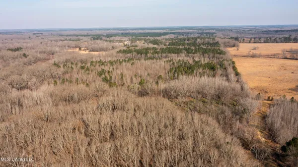 $1,025,750 | 186 Potluck Road, Canton, MS 39046