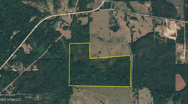 $995,000 | 186 Potluck Road, Canton, MS 39046