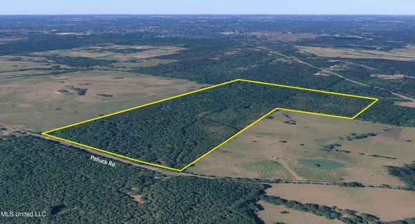 $1,025,750 | 186 Potluck Road, Canton, MS 39046