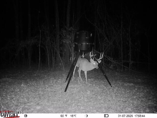 186 Potluck Road Canton, MS 39046 - Photo 58 of 69 01_07_2026_17_58_45_3319873501