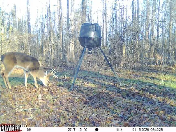 $1,025,750 | 186 Potluck Road, Canton, MS 39046