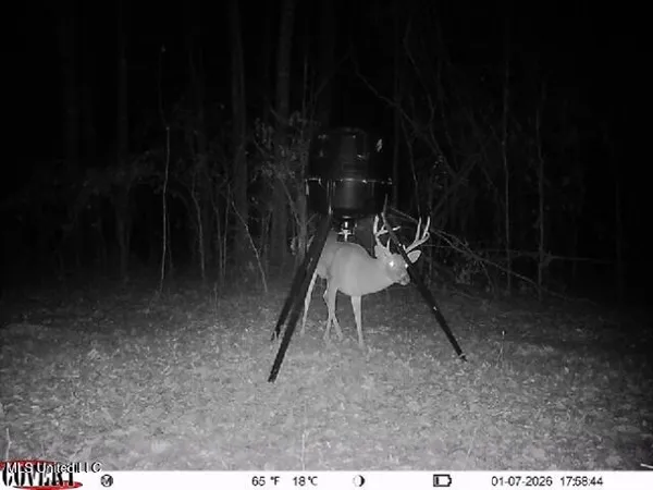 $1,025,750 | 186 Potluck Road, Canton, MS 39046