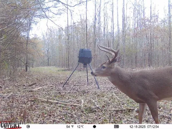 $1,025,750 | 186 Potluck Road, Canton, MS 39046