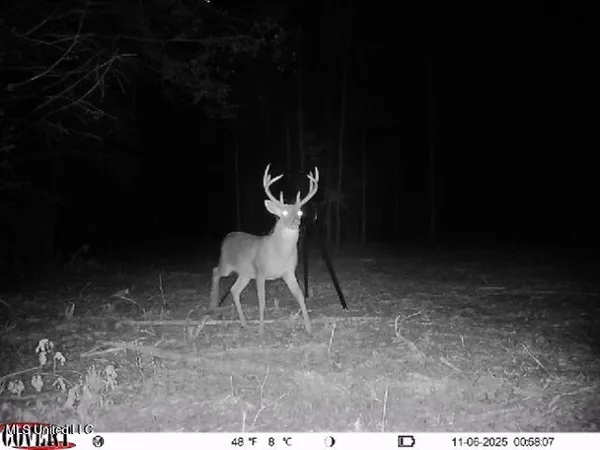 $1,025,750 | 186 Potluck Road, Canton, MS 39046