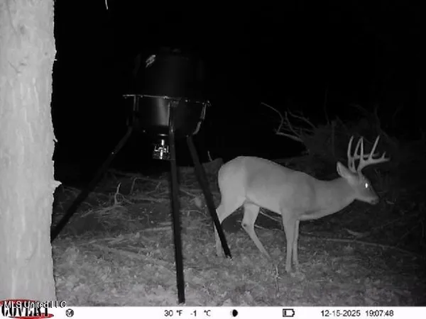 $1,025,750 | 186 Potluck Road, Canton, MS 39046