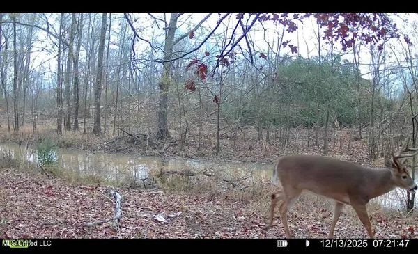 $1,025,750 | 186 Potluck Road, Canton, MS 39046