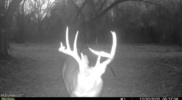 $1,025,750 | 186 Potluck Road, Canton, MS 39046