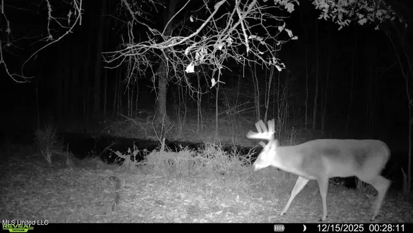 $1,025,750 | 186 Potluck Road, Canton, MS 39046