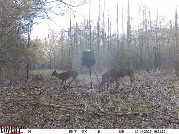 $1,025,750 | 186 Potluck Road, Canton, MS 39046