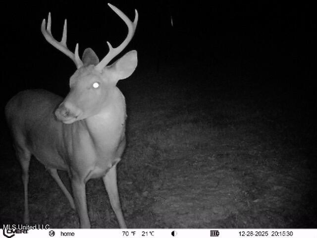186 Potluck Road Canton, MS 39046 - Photo 67 of 69 12_28_2025_20_15_31_3309452728