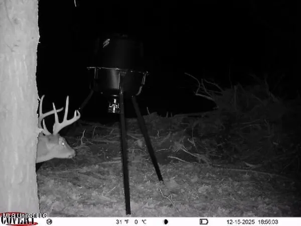 $1,025,750 | 186 Potluck Road, Canton, MS 39046