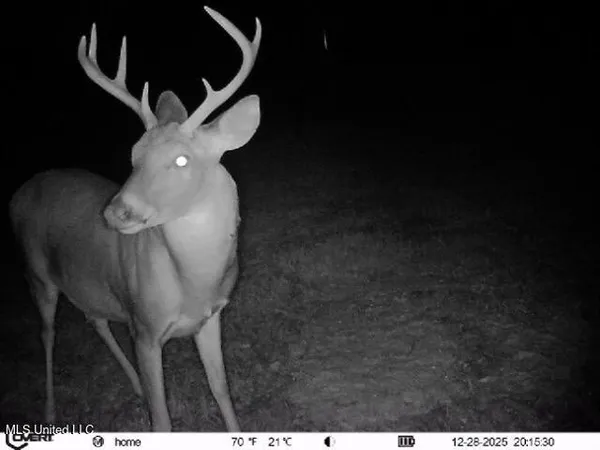 $1,025,750 | 186 Potluck Road, Canton, MS 39046