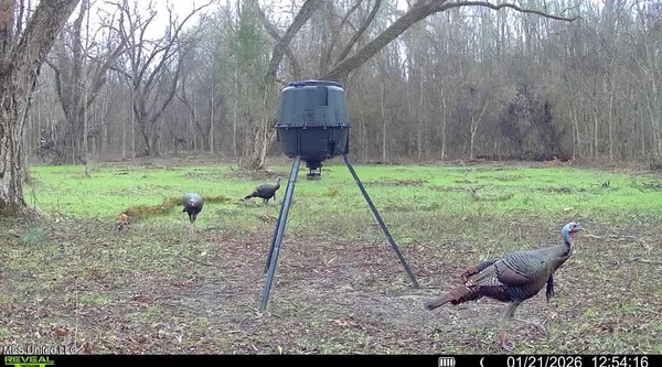 $1,025,750 | 186 Potluck Road, Canton, MS 39046