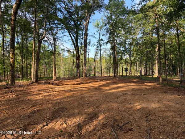 $995,000 | 186 Potluck Road, Canton, MS 39046