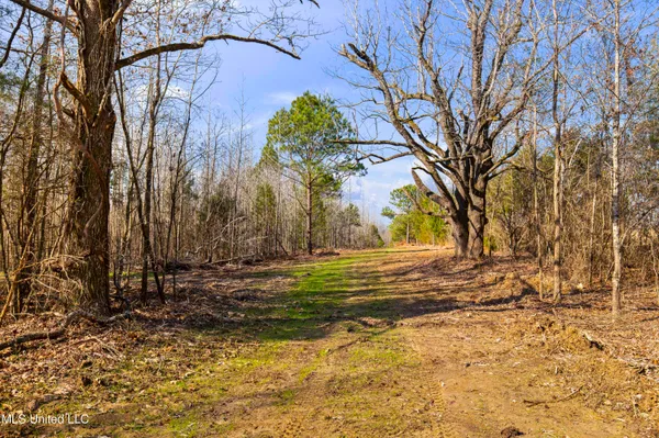 $1,025,750 | 186 Potluck Road, Canton, MS 39046