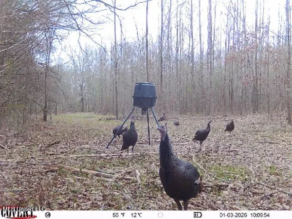 $1,025,750 | 186 Potluck Road, Canton, MS 39046